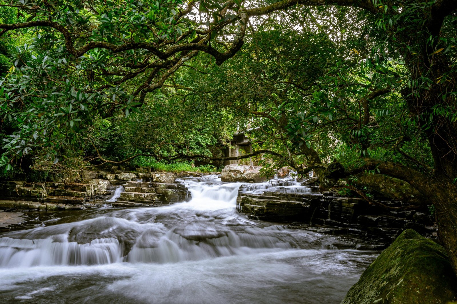 Home pexels thilina alagiyawanna 3266092 30935691