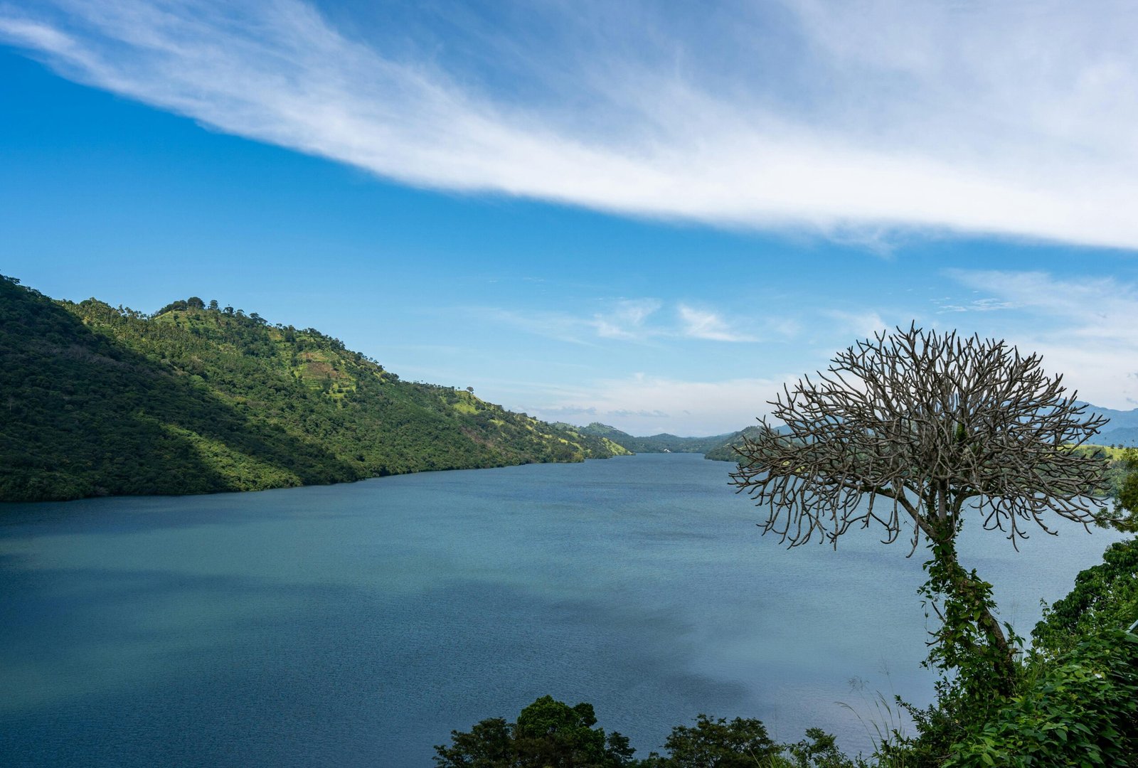 Home pexels thilina alagiyawanna 3266092 31001490